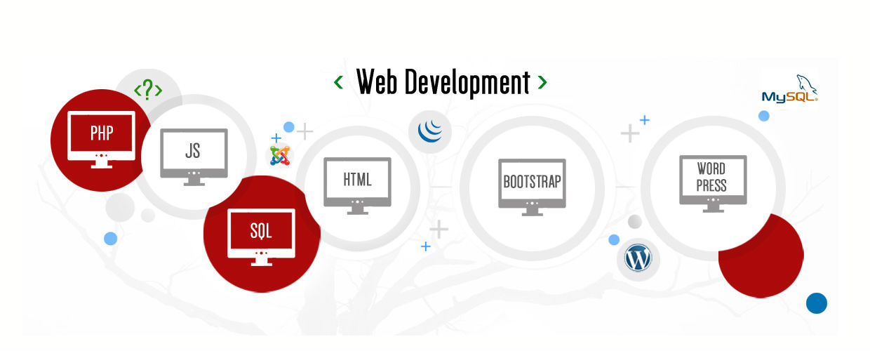 PuroTechSol Web Development Service banner